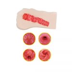 Tamashii Student Masturbator - Image 3