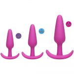 Mood Naughty 1 Butt Plug Trainer Set - Image 2