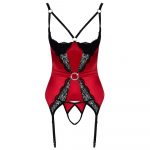 Cupless and Crotchless Basque - Image 4