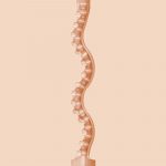 Maitland Ward Butt Fleshlight Girls Masturbators - Image 4