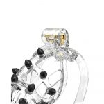 Rimba PCage PC09 Medium Transparent - Image 2