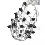 Rimba PCage PC09 Medium Transparent - Image 3