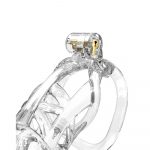 Rimba PCage PC11 Large Transparent - Image 2