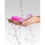 Love To Love Remote Control Egg - Image 3