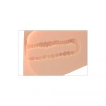 Pipe Dream EZ Bang Torso - Image 4