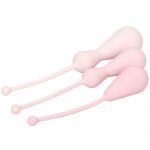 Inspire Weighted Silicone Kegel Training Kit - Image 3