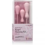 Inspire Weighted Silicone Kegel Training Kit - Image 4