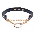 SportSheets Cougar Day Collar