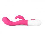 Silicone Dual Motors GSpot Vibrator Pink - Image 2